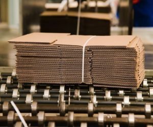 production line for the production of cardboard and corrugated cardboard in the factory